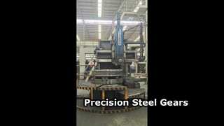 Engrenages droits en acier robuste pour installations industrielles